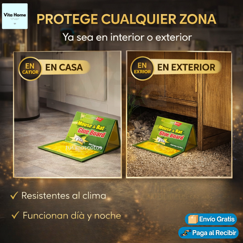 AdhésiRat™ | Trampas adhesivas para ratones 14und