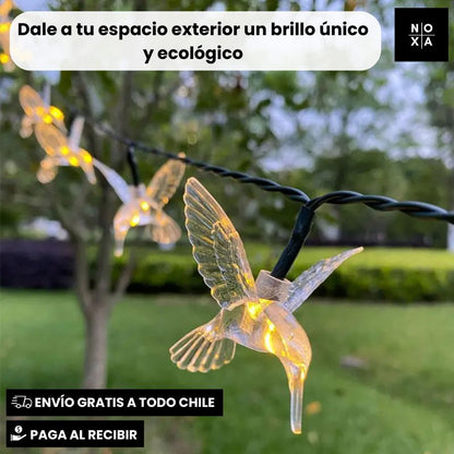 Colibrí Solar Magic | Luces Solares Colibrí 5 mts