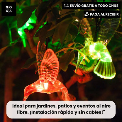 Colibrí Solar Magic | Luces Solares Colibrí 5 mts