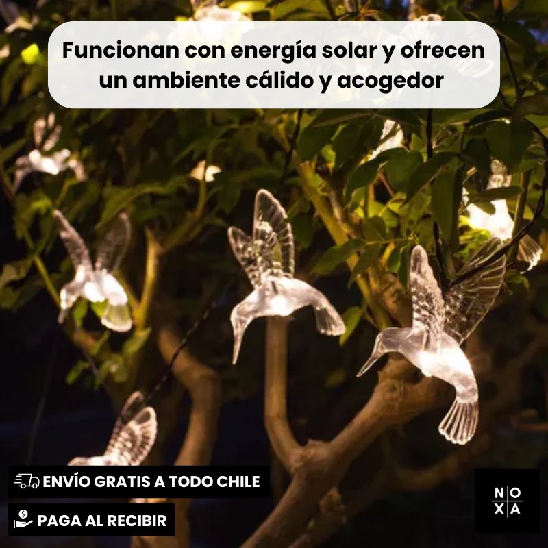 Colibrí Solar Magic | Luces Solares Colibrí 5 mts