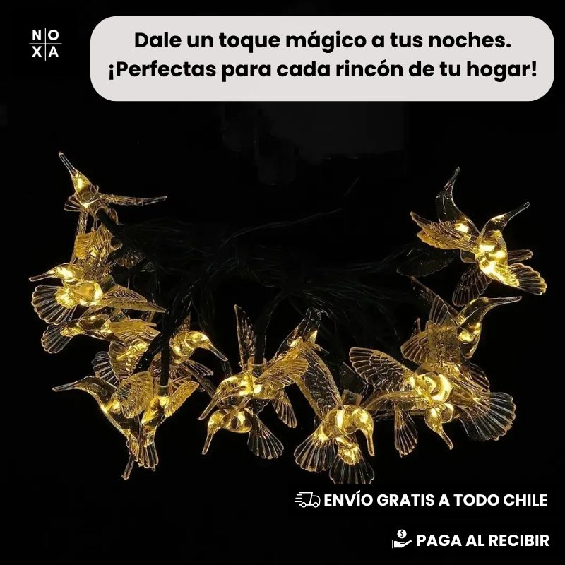 Colibrí Solar Magic | Luces Solares Colibrí 5 mts