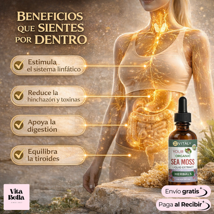 MaryRuth's Lymphatic Support™ | Suplemento herbal en gotas para el apoyo linfático