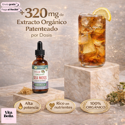 MaryRuth's Lymphatic Support™ | Suplemento herbal en gotas para el apoyo linfático
